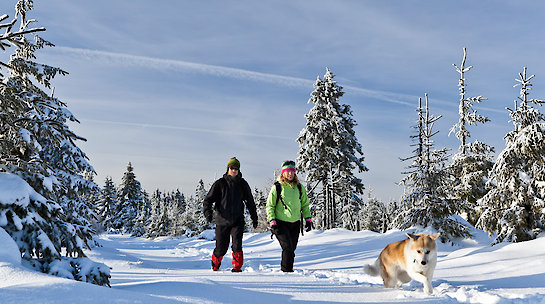 Winterwandern im Bayerischen Wald